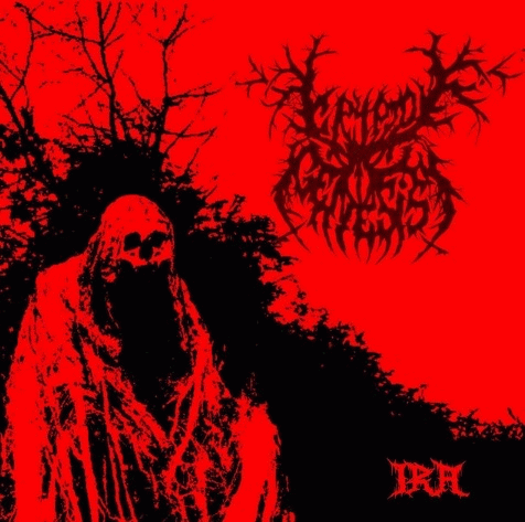 Crypto Genesis : Ira